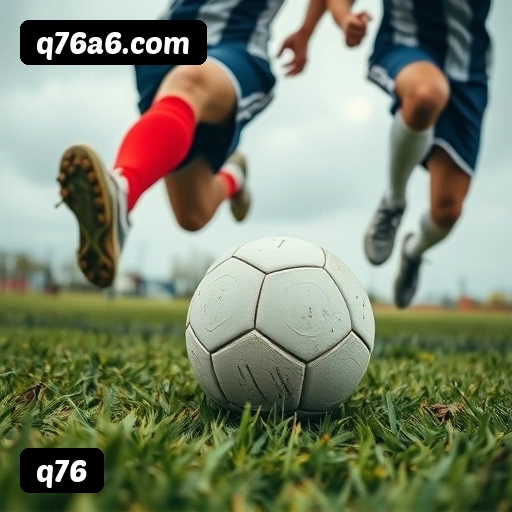 Níveis do programa VIP da q76